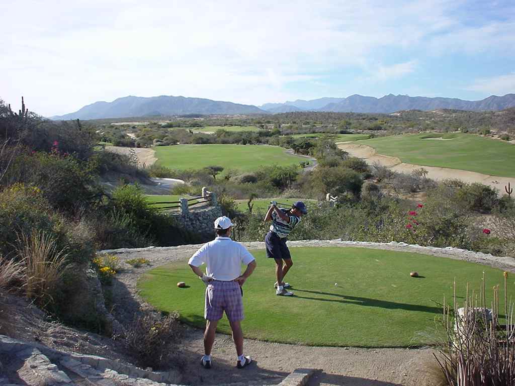 Palmilla 6